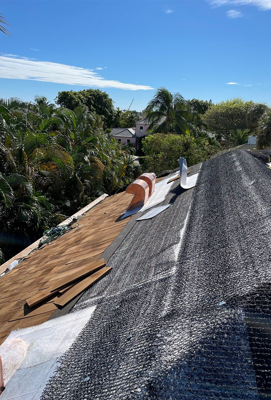 Palm Beach Under Constrution 32